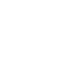 Immediate Visionex - Empower Financial Inclusion Today via Immediate Visionex